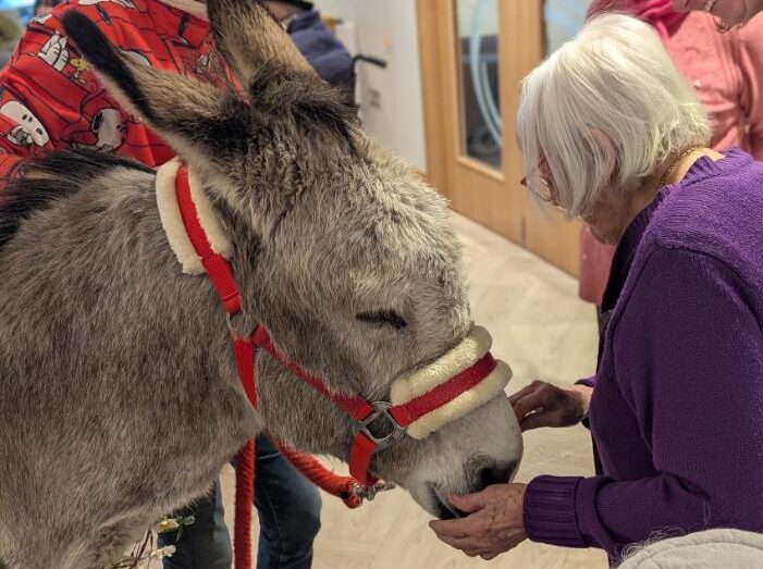 donkey and resident