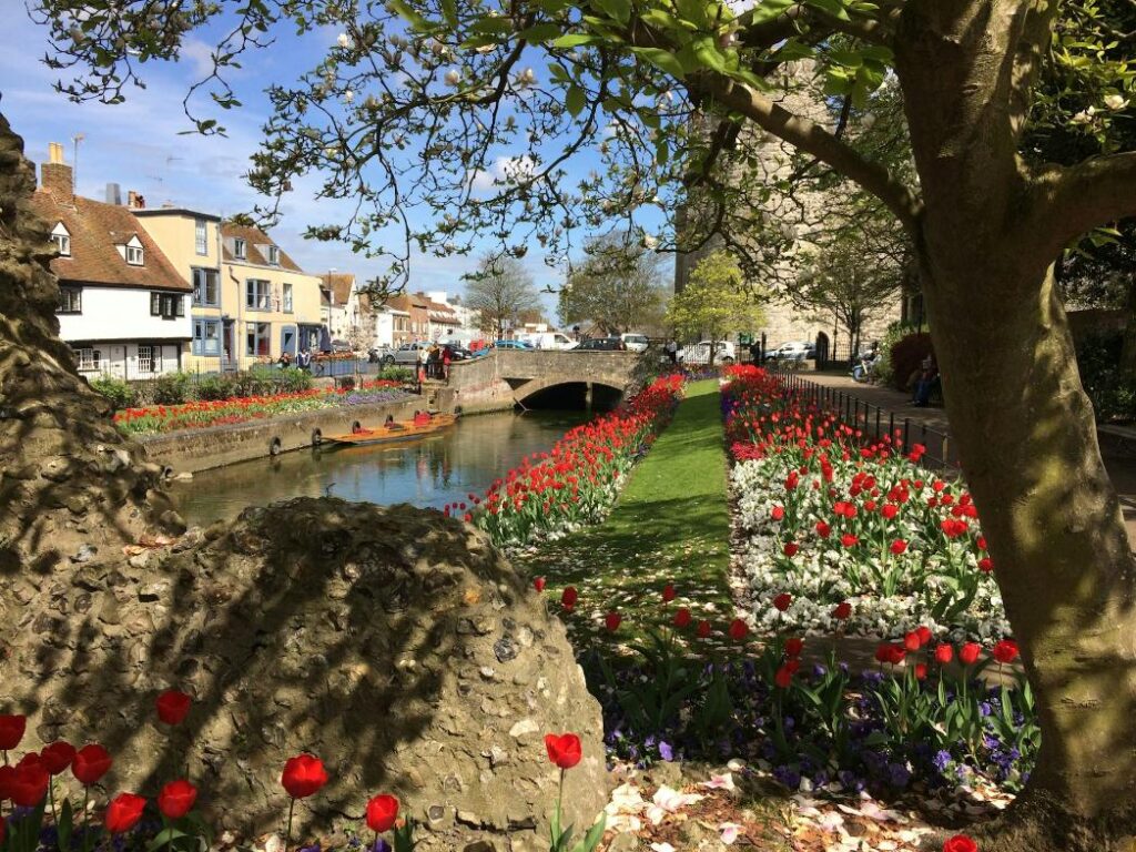 local canterbury area