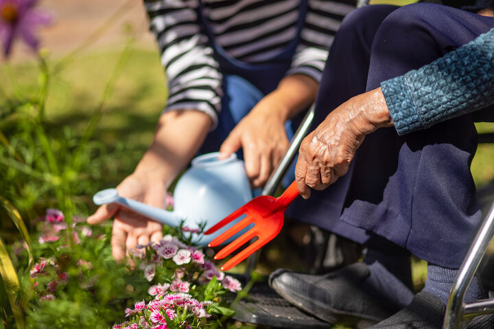 seniors gardening while away at respite care in a care home